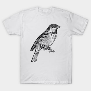 Bird Sparrow Hand Drawn T-Shirt